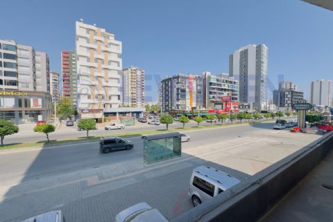 LEVANTENDEN VATAN CD ÜZERİ UYGUN FİYAT 2+1 KAÇMAZ